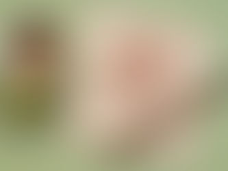 napkin that states "you are amazing! In case you need a reminder.