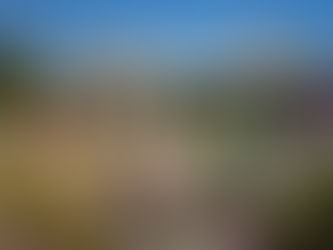 Halle Tropisme - Montpellier