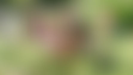 Écolothèque de Montpellier Méditerranée Métropole