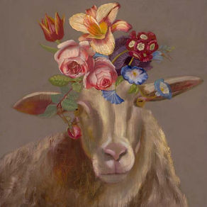 Βασίλης Ζωγράφος – Vasilis Zografos