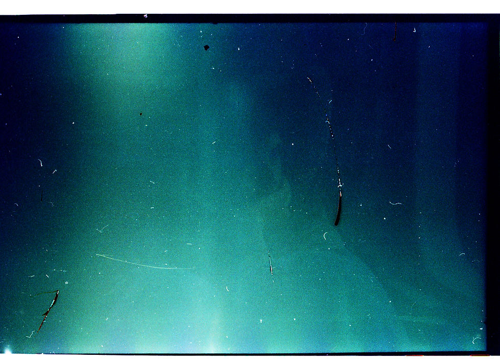 053, Olympus OM-30, Kodak Colorplus 200, 2016