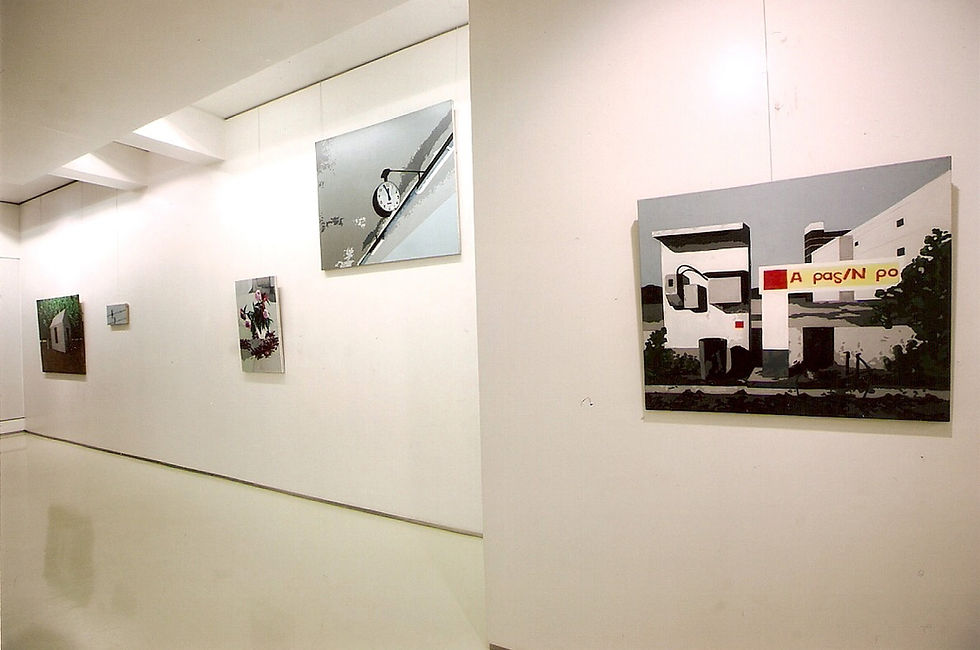4-Grey Stories-solo exhibition-Installation view-2010