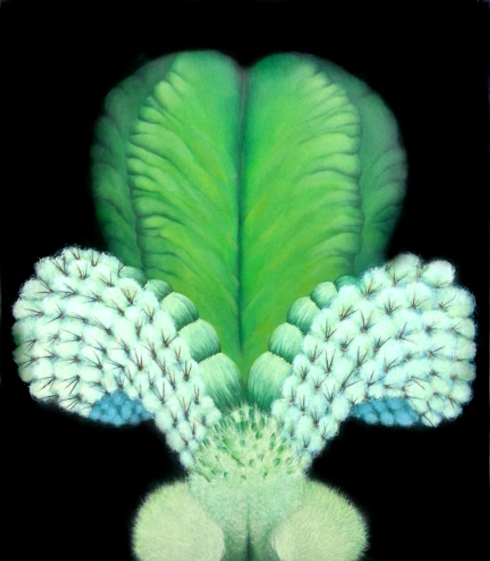 Genesis 2, Oil on canvas, sparkling finish, 70x60 cm, 2016