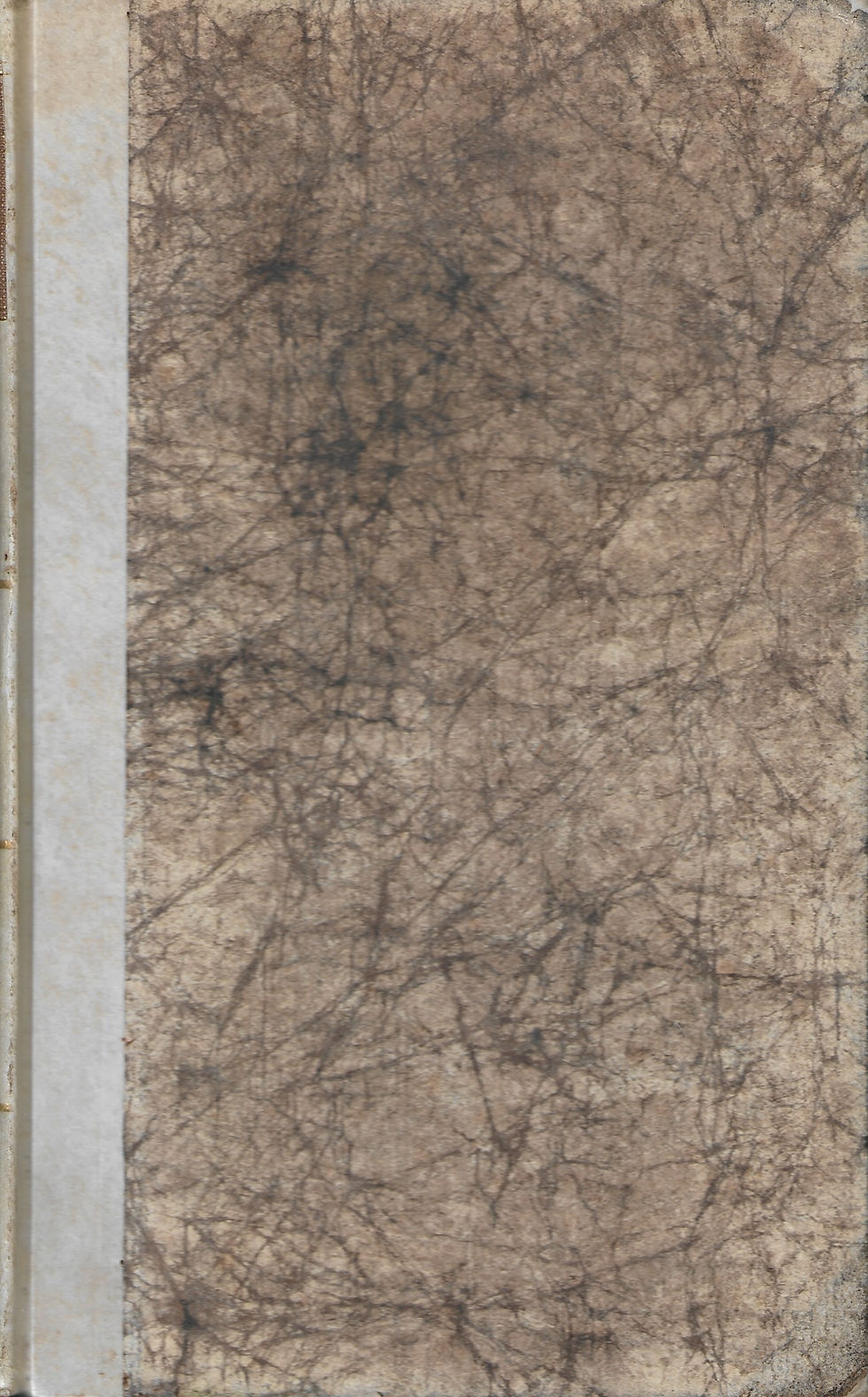 On the Metamorphosis of Plants