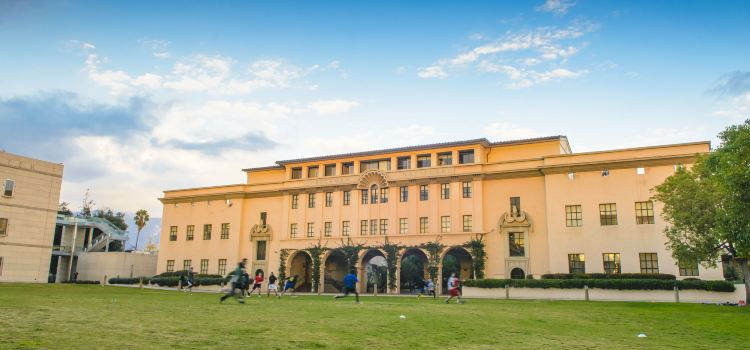 Top 10 University and Colleges