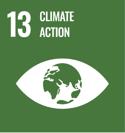 SDG13
