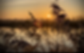 beautiful_background.PNG