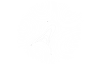 Logo blanco.png