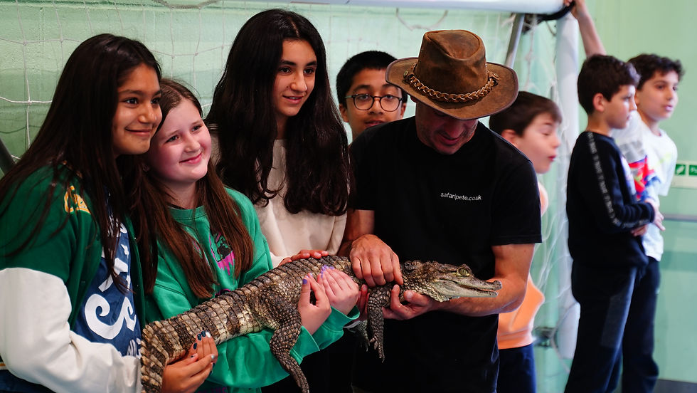 Activities Available at Camp Breezy