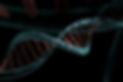 IMMAGINE GENETICA.jpg