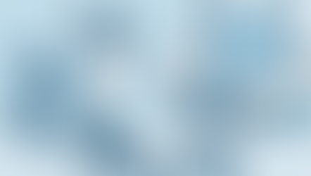 La binutrition chez le chat : un vrai plus pour sa santé !