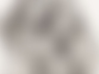 Capturing Mom's Moments: A Mother's Day Celebration