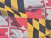 e7aacde7-a308-4004-9517-733562aa87ee.jpg