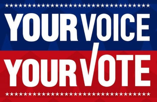 2026 Primaries Republican Candidate Voter Information at, https://www.algtwpgop.org/