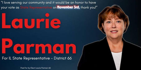 "I'm Running for Illinois District 66 House of Representative