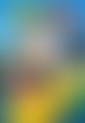 Dragon Ball: Una Aventura Mística En Español Latino