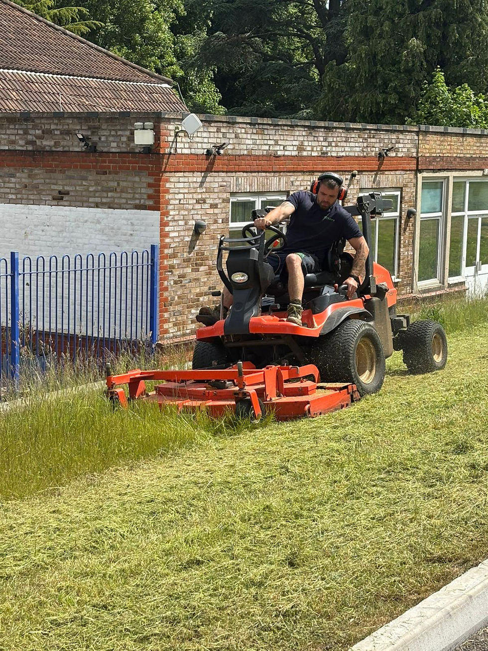 Eye-level view of a well-maintained garden with trimmed hedges and green lawn