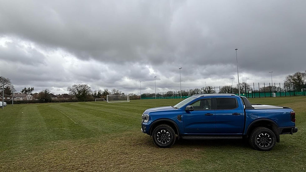 Eye-level view of a well-maintained commercial lawn with trimmed hedges and clean pathways