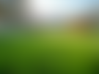 Discover Comprehensive Grounds Maintenance Services