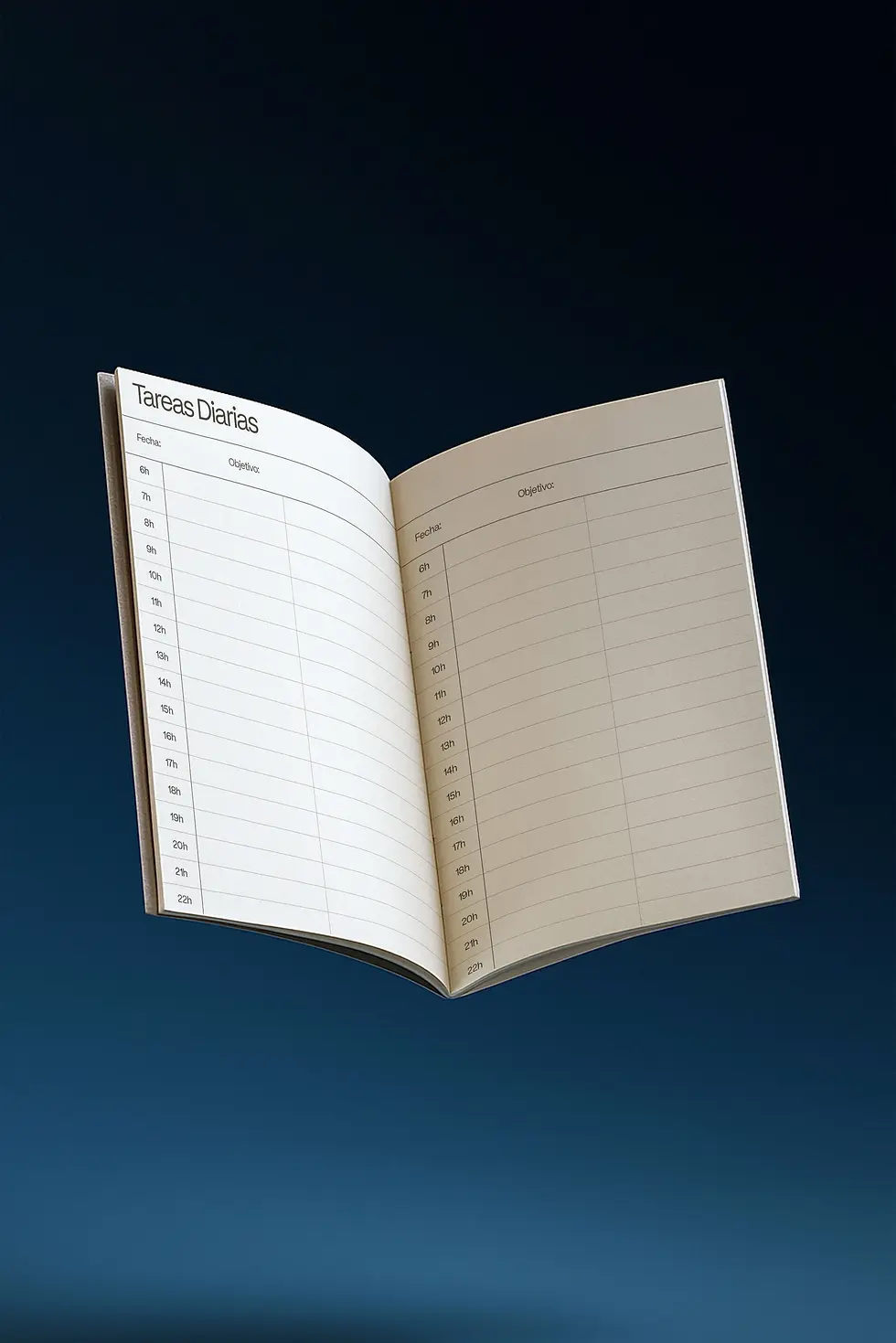 Miniatura: Planner Diario Perpetuo Putos Modernos - Plateado