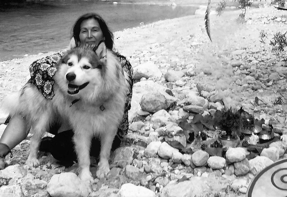 20170722_201329%20(3)_edited_edited