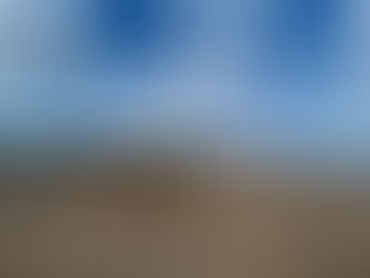 Rally BBQ at Newtown Creek