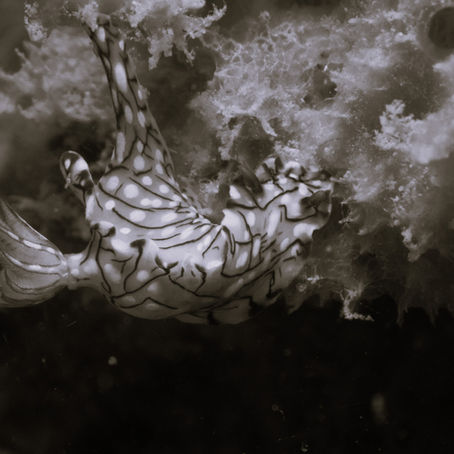 Desaturated worlds: looking beneath the loudness of colour