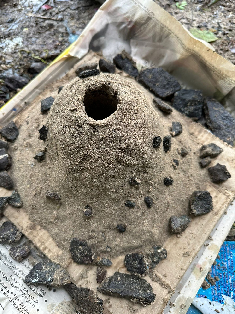 Making and learning about a volcanic eruption as part of our outdoor classroom. Photo and video: Priya Mandal