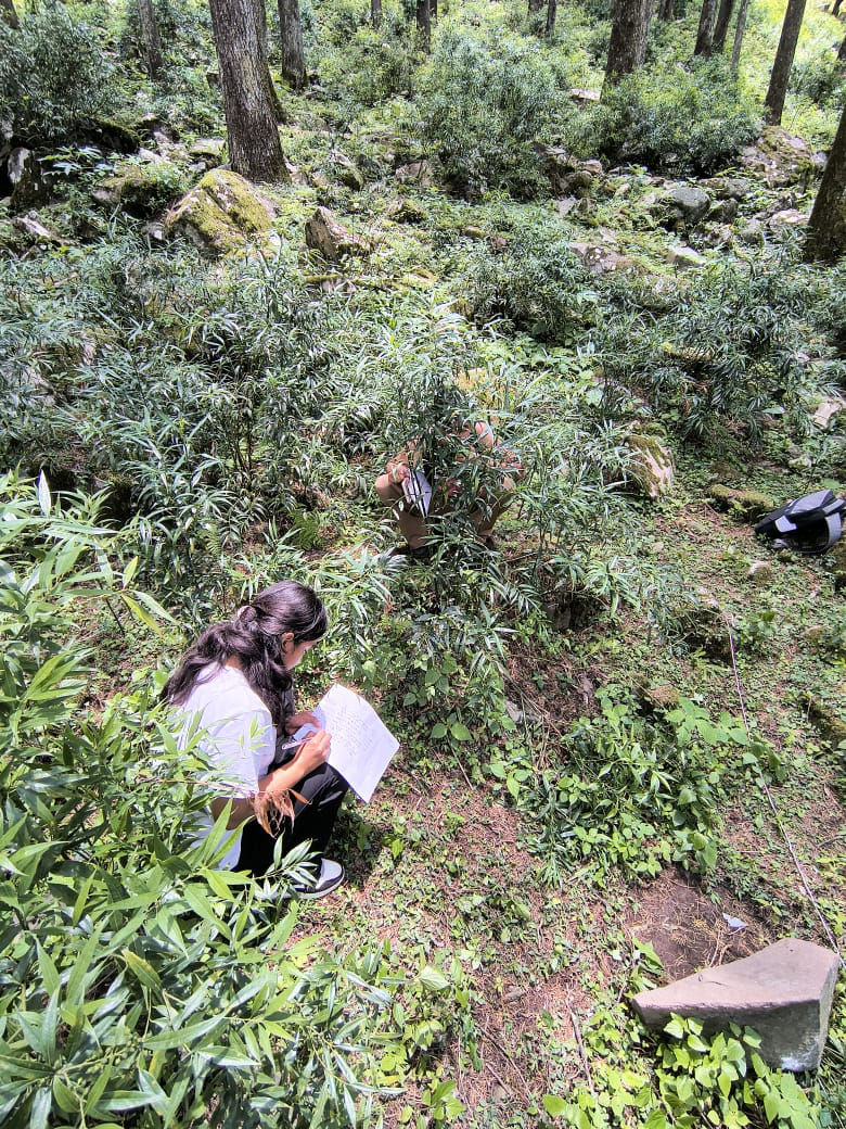 Sneha and Lalit writing down their field observations of spider behaviour. Photo by Samuel John