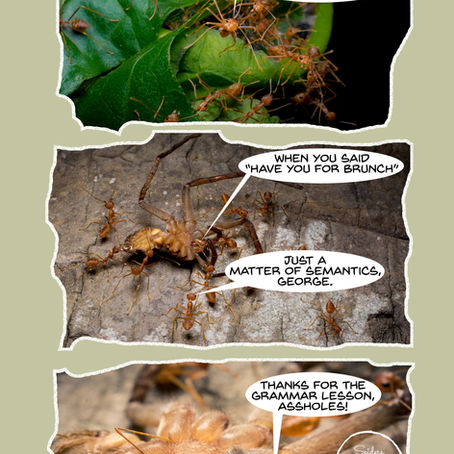Under Stories #2