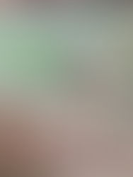 Five Women, Three Cities, One Sky: A GBBC Story