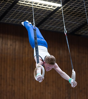 Elias Reichenbach.jpg