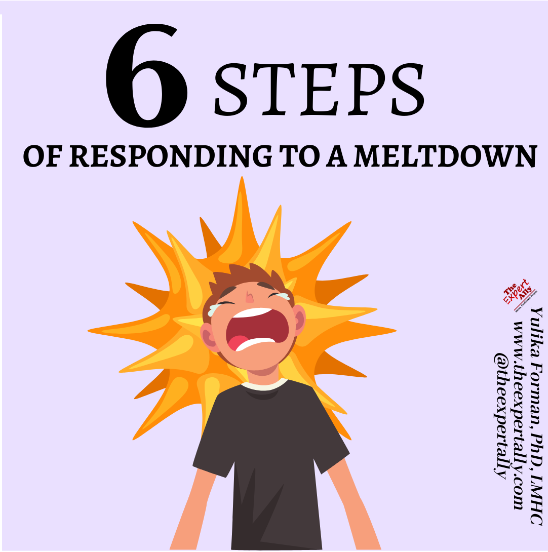 Thumbnail: A Guide to Autistic/ADHD Meltdowns