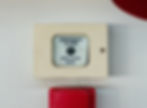 ree