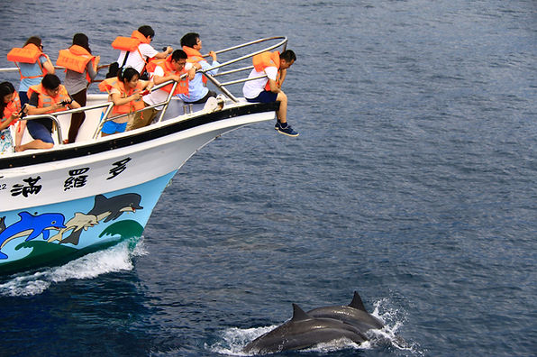 圖7 船中接待將成為海岸創生的基石1(多羅滿賞鯨提供).JPG