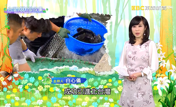 【台灣1001個故事】高爾夫球手受傷轉行+打造北台灣石斑魚王國.png