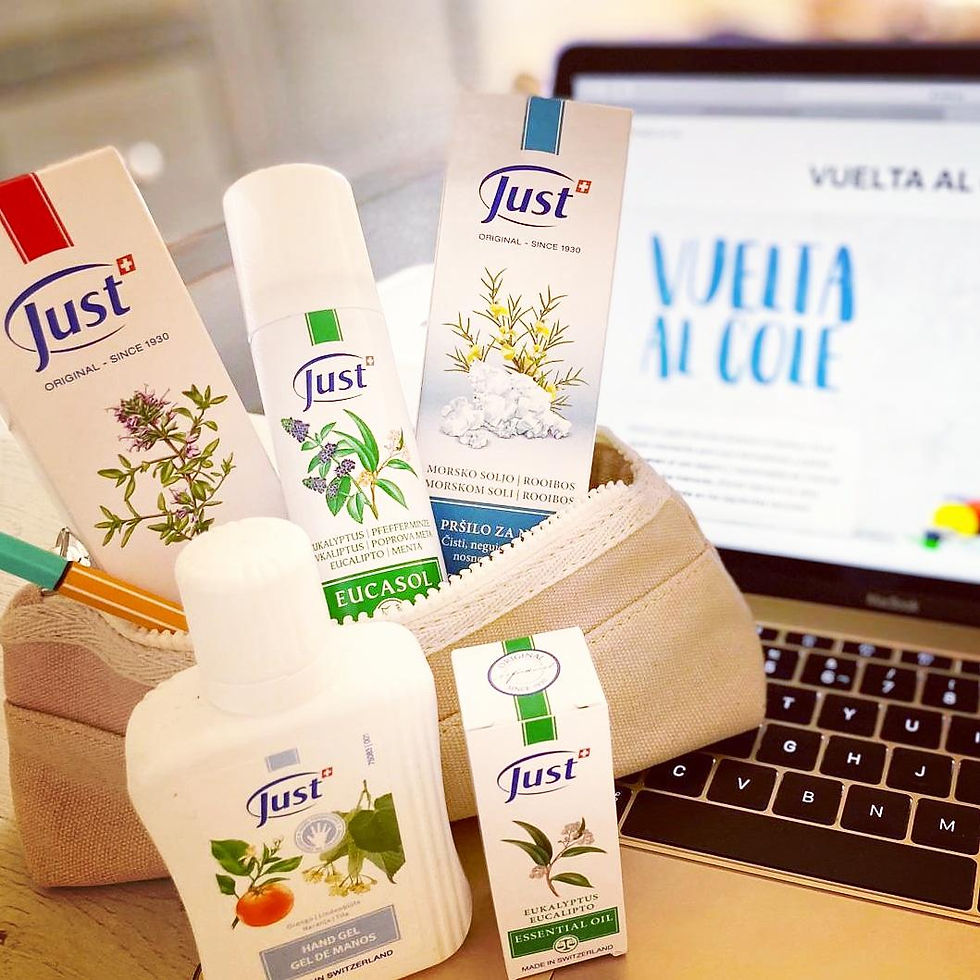 Bodegón de productos de Just Iberia para la vuelta al cole