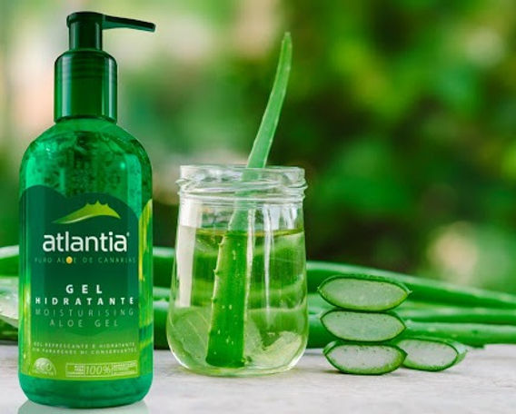 Atlantia trae lo mejor del aloe vera puro de Canarias