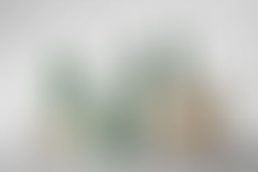 Línea de lanzamiento de cuidado facial TEV Skincare