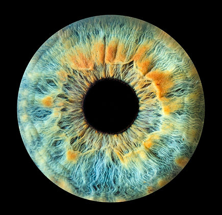 photographe-iris-pelussin-nathalie-desormeaux-pila-pil-5.jpg