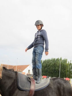 Naamloze afbeelding (91).jpg
