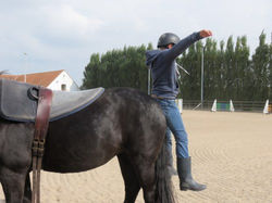 Naamloze afbeelding (82).jpg
