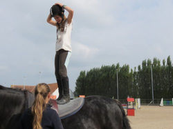 Naamloze afbeelding (84).jpg