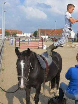 Naamloze afbeelding (89).jpg