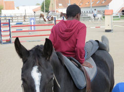 Naamloze afbeelding (85).jpg