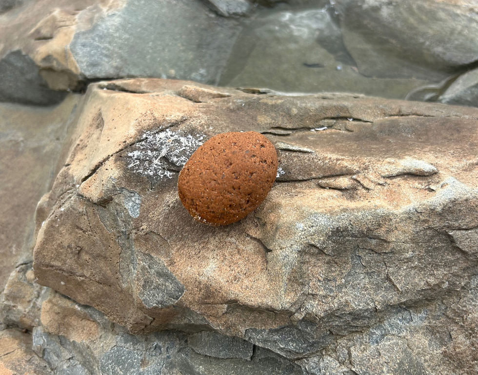 egg rock