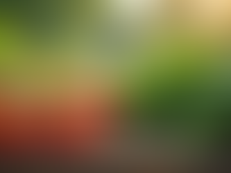 The Importance of Sustainable Living in Today's World