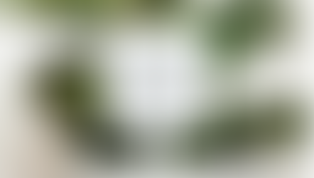 Nobody Thrives on Neglect