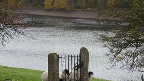 How Leaders Train Employees to Keep Quiet - Psychology 101