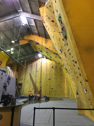 Coombes lab - Reaching for the top